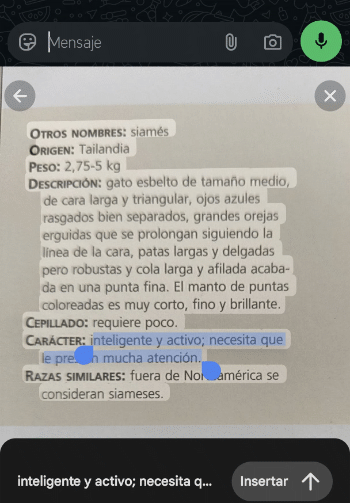 Imagen - C&oacute;mo convertir im&aacute;genes a texto en Android