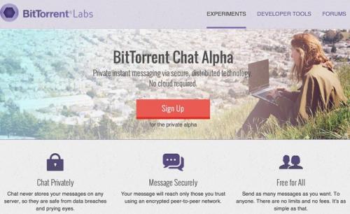 Imagen - 5 alternativas seguras a WhatsApp