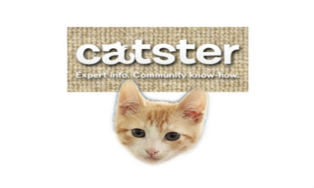 Imagen - 10 redes sociales muy curiosas