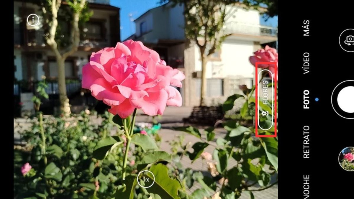 Imagen - Honor 70 Lite, análisis con opinión, ficha técnica y precio