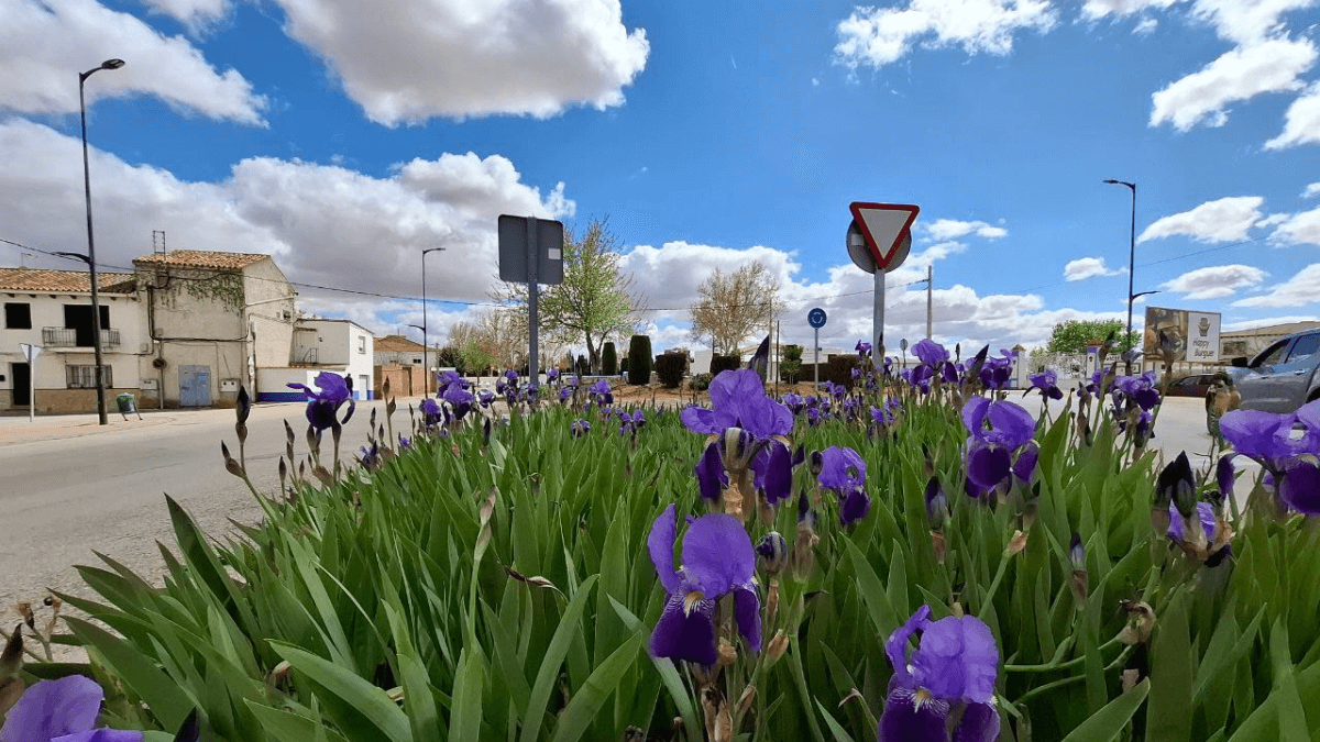 Imagen - Review: Samsung Galaxy A55 5G, análisis con opinión y precio