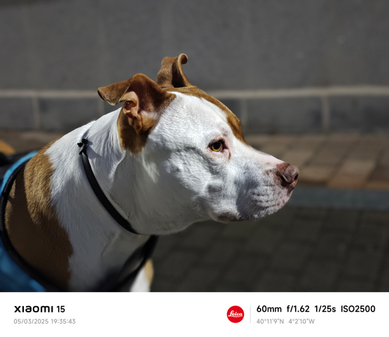 Imagen - Comprar el Xiaomi 15 o el Xiaomi 15 Ultra, ¿realmente vale la pena el modelo superior?