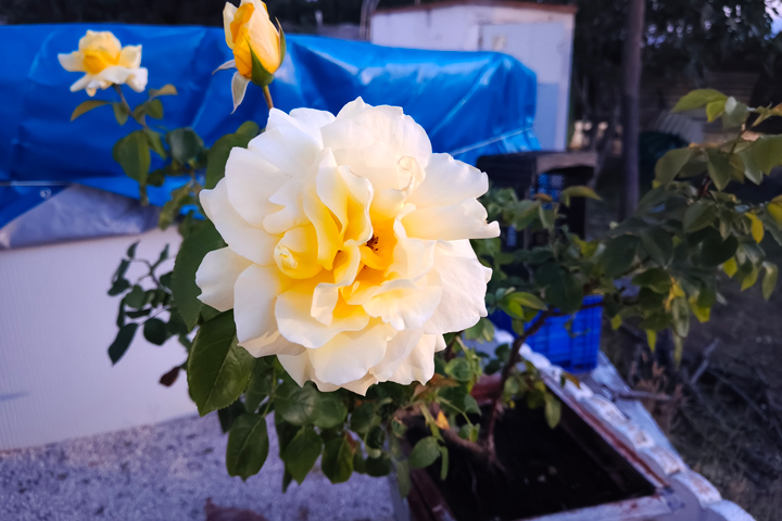 Imagen - Realme GT 7T, an&aacute;lisis con opini&oacute;n y precio