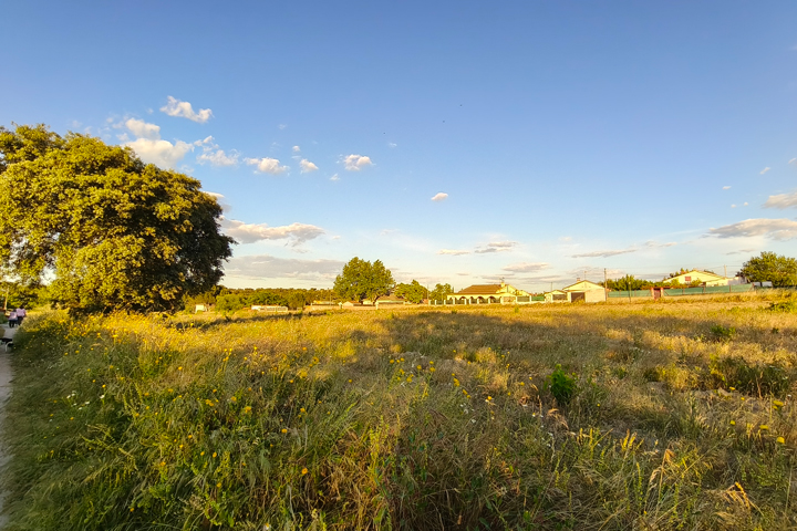 Imagen - Realme GT 7, an&aacute;lisis con opini&oacute;n y precio