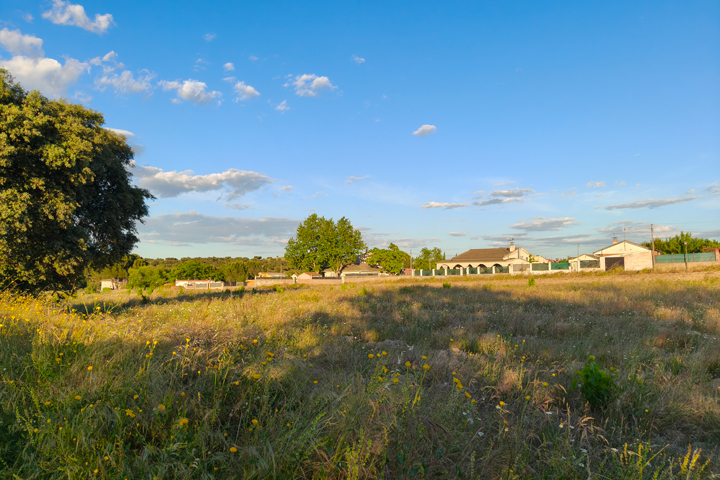 Imagen - Realme GT 7, an&aacute;lisis con opini&oacute;n y precio