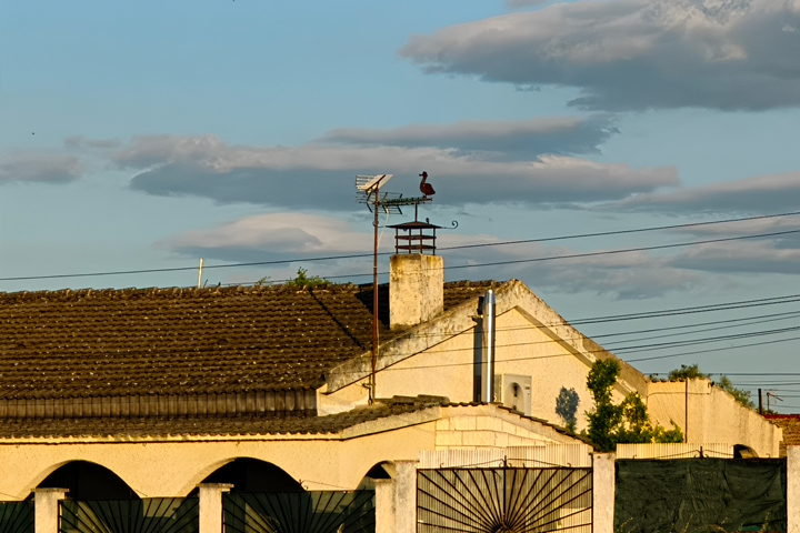 Imagen - Realme GT 7, an&aacute;lisis con opini&oacute;n y precio