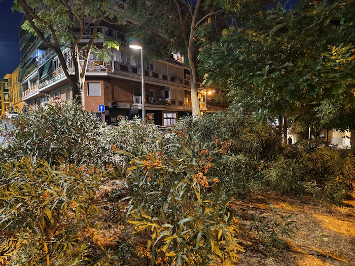 Imagen - Huawei Pura 80 Pro, análisis con opinión y precio