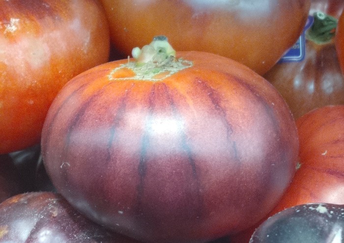 Imagen - Motorola Edge 70, análisis con opinión y precio