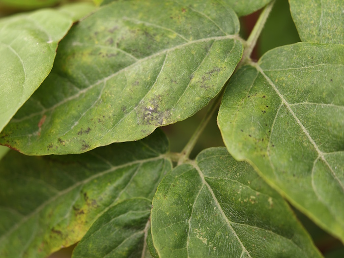 Imagen - Oppo Find X9 Pro, análisis con opinión y precio