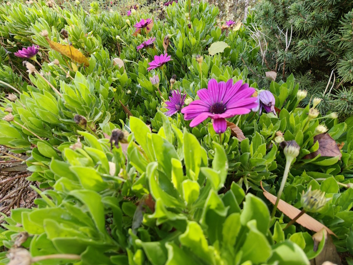 Imagen - Realme GT 8 Pro, análisis con opinión y precio