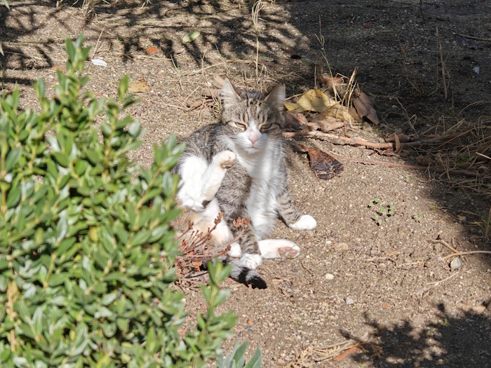 Imagen - Realme GT 8 Pro, análisis con opinión y precio