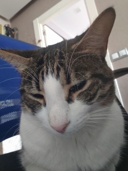 Imagen - Realme GT 8 Pro, análisis con opinión y precio