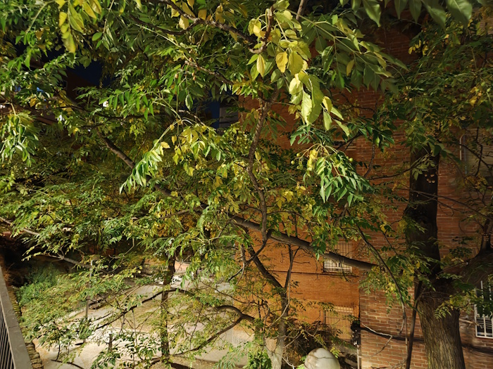 Imagen - Realme GT 8 Pro, análisis con opinión y precio