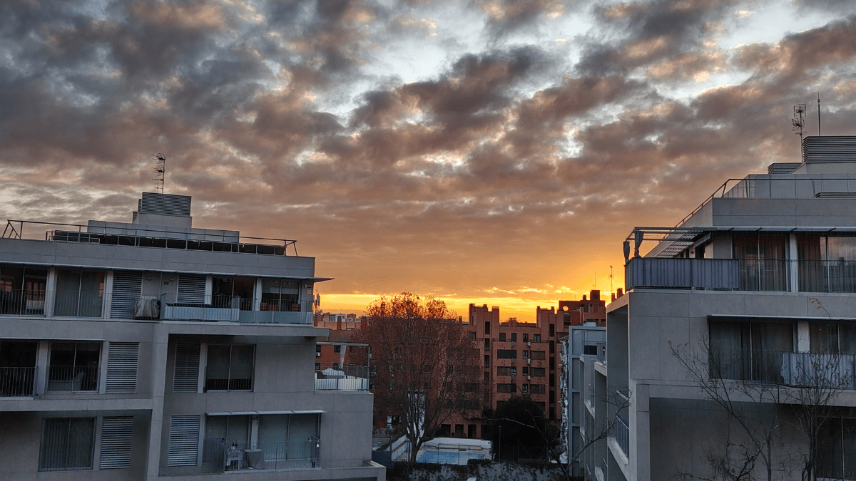 Imagen - Honor Magic 8 Lite, an&aacute;lisis con opini&oacute;n y precio