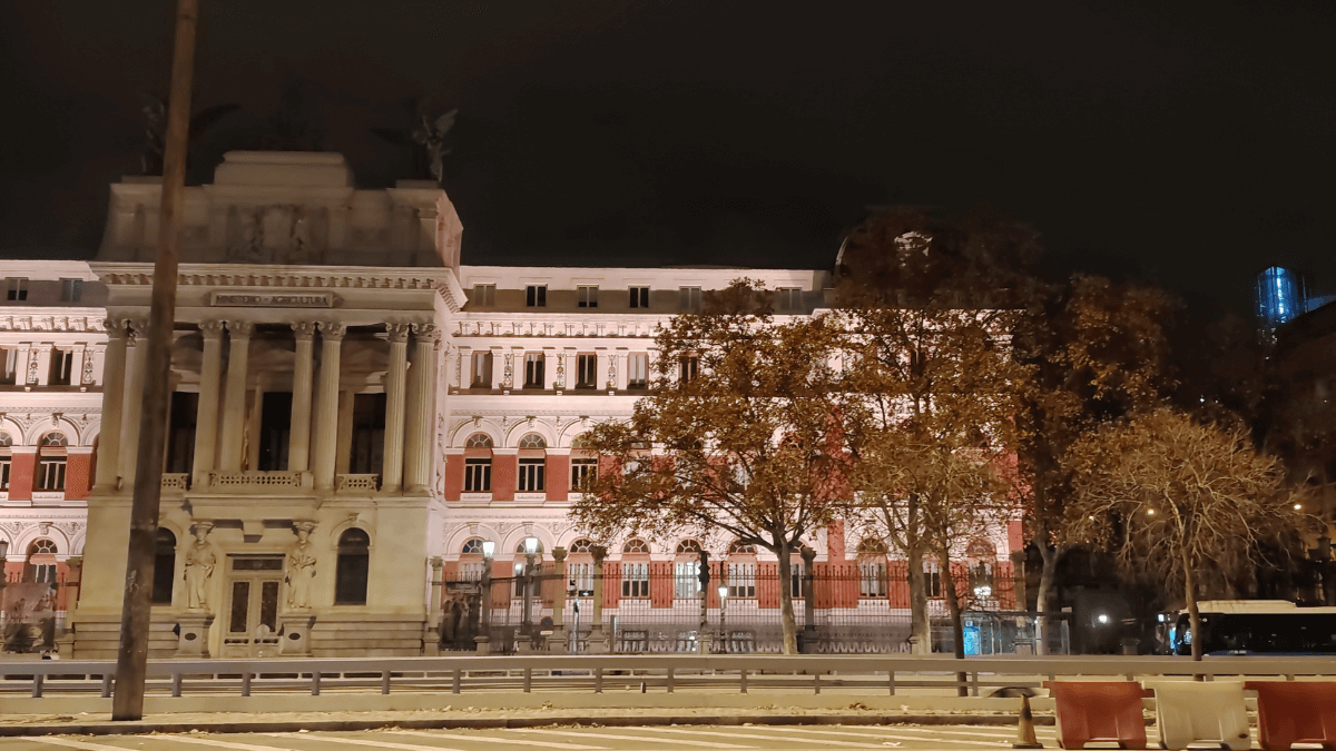 Imagen - Honor Magic 8 Lite, an&aacute;lisis con opini&oacute;n y precio