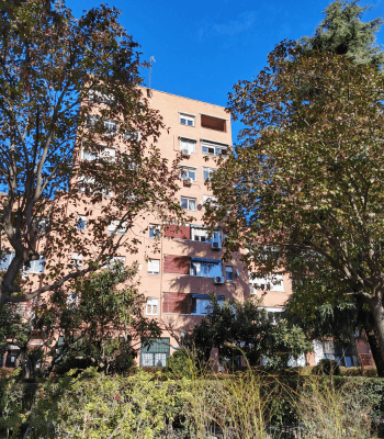 Imagen - Honor Magic 8 Lite, an&aacute;lisis con opini&oacute;n y precio