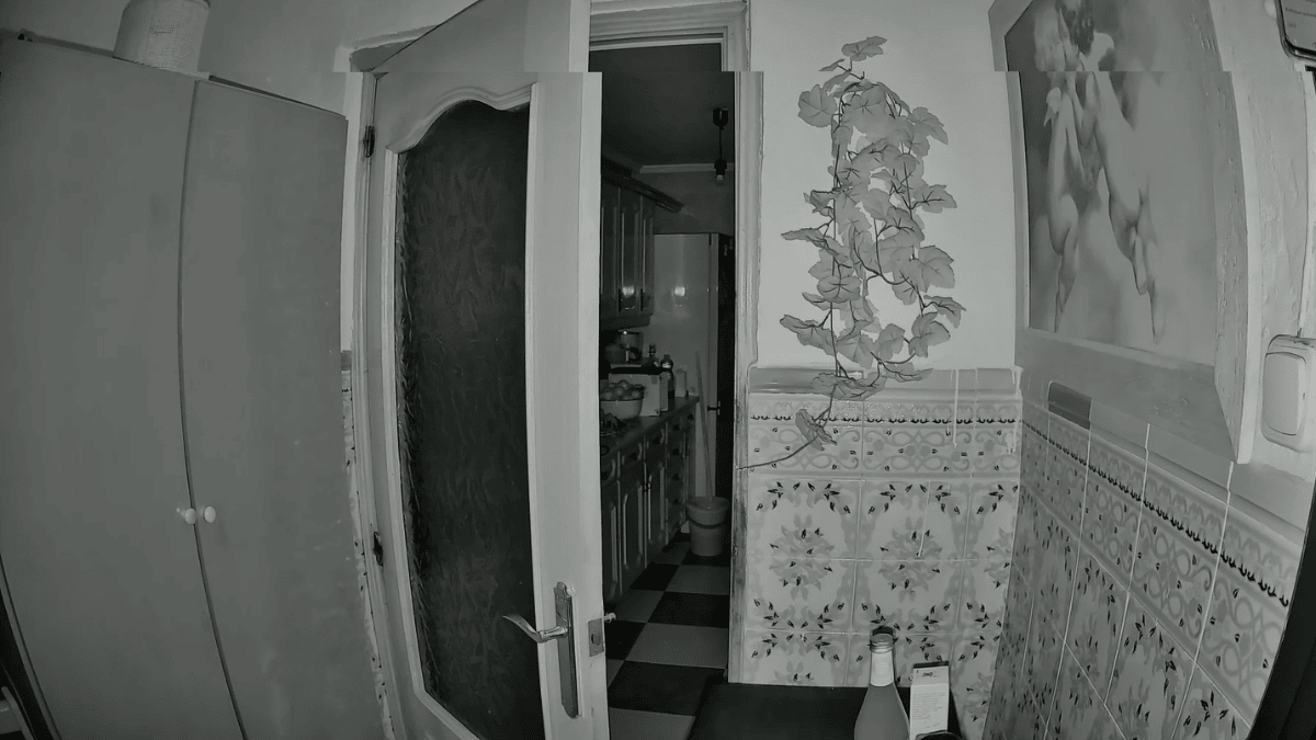 Imagen - Review: Synology Camera BC800Z, an&aacute;lisis con opini&oacute;n y precio