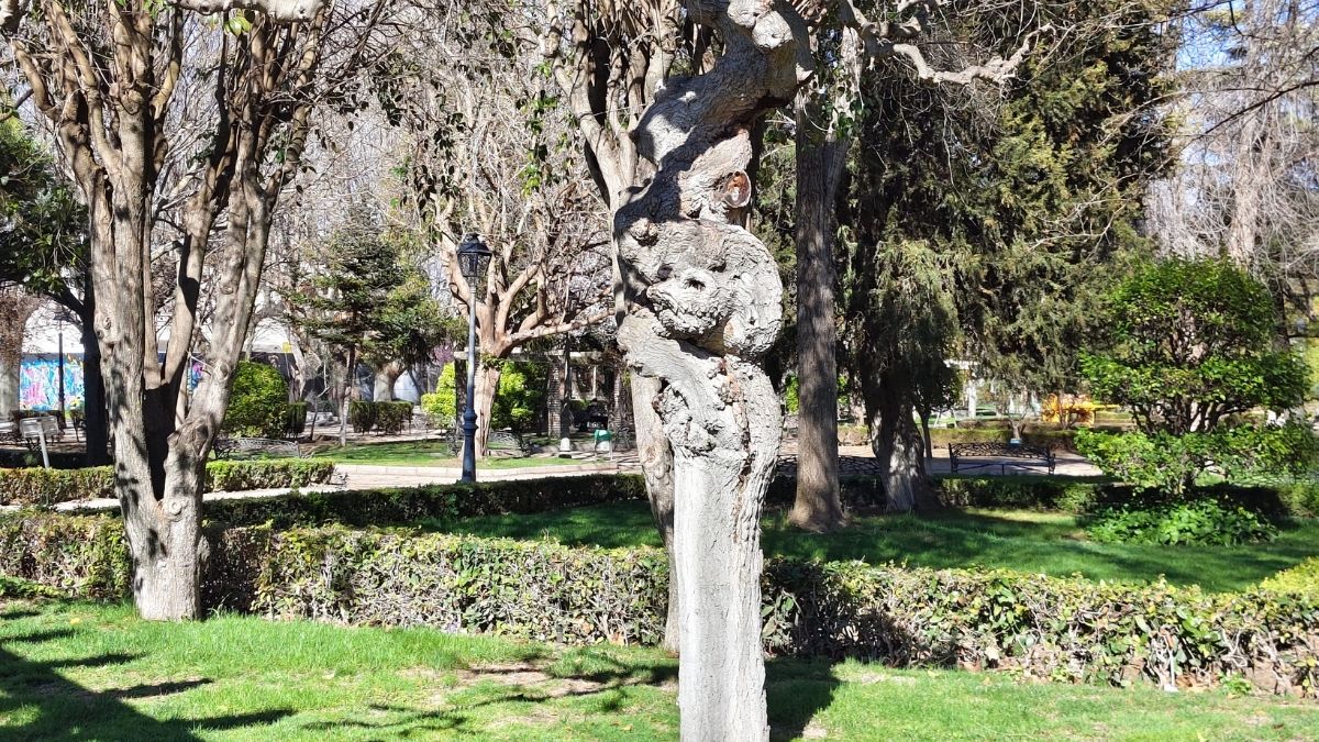 Imagen - Review: Vivo V70, an&aacute;lisis con opini&oacute;n y precio