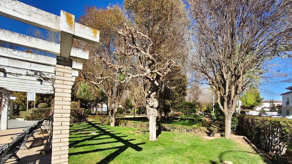 Imagen - Review: Vivo V70, an&aacute;lisis con opini&oacute;n y precio