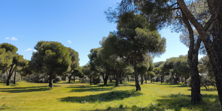 Imagen - Xiaomi Poco X8 Pro Iron Man Edition: an&aacute;lisis con opini&oacute;n