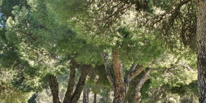 Imagen - Xiaomi Poco X8 Pro Iron Man Edition: an&aacute;lisis con opini&oacute;n