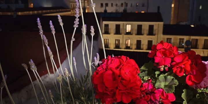 Imagen - Xiaomi Poco X8 Pro Iron Man Edition: an&aacute;lisis con opini&oacute;n